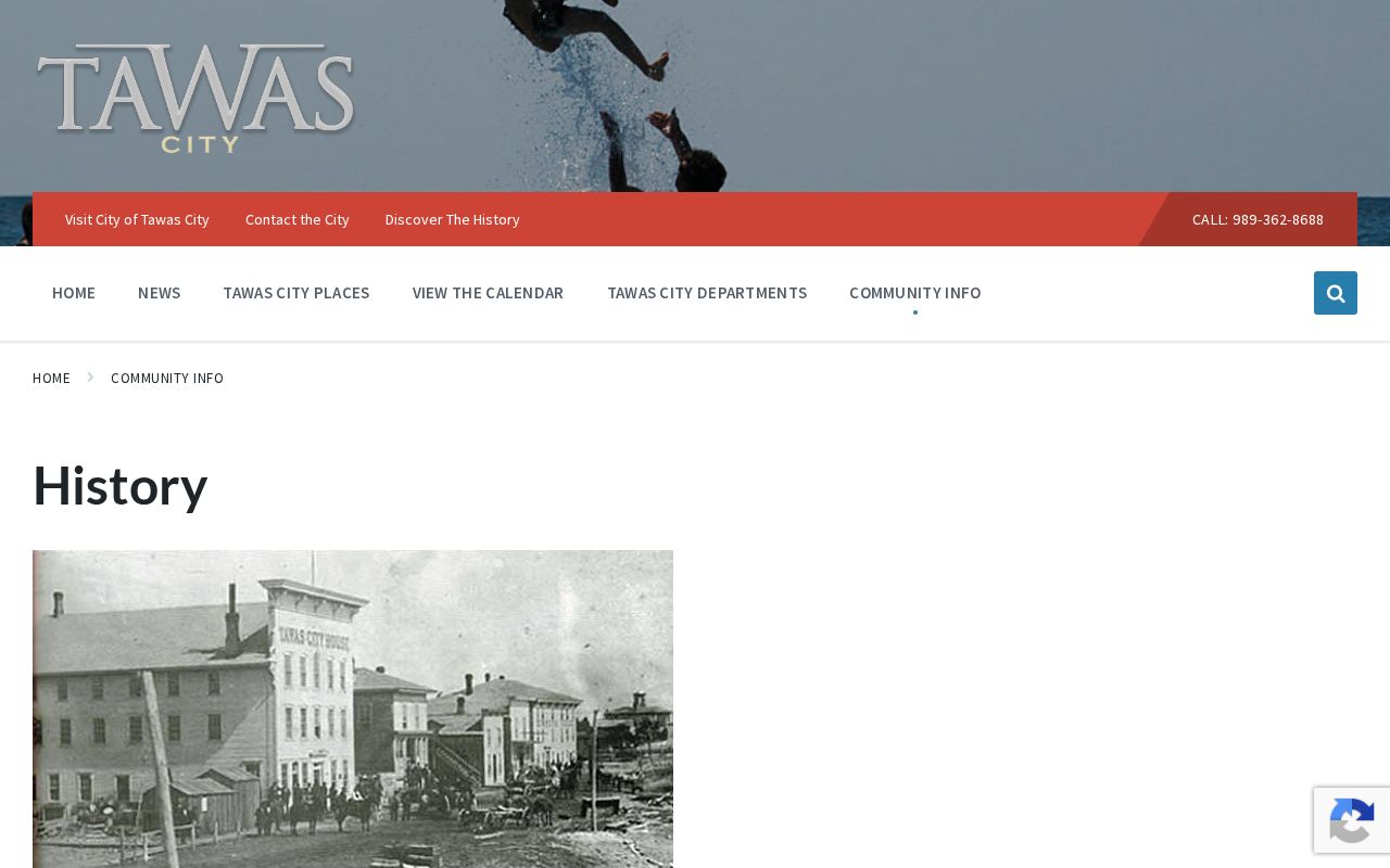 Iosco County court records source showing Tawas City history and county-seat context